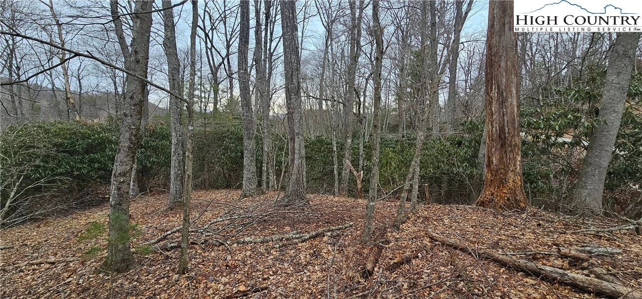 Image number 1 for the current listing