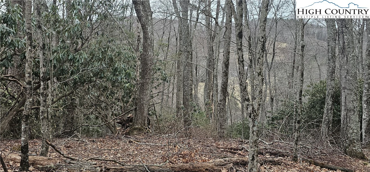 Image number 21 for the current listing
