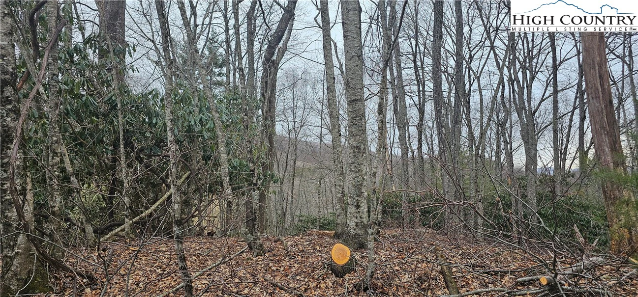 Image number 20 for the current listing