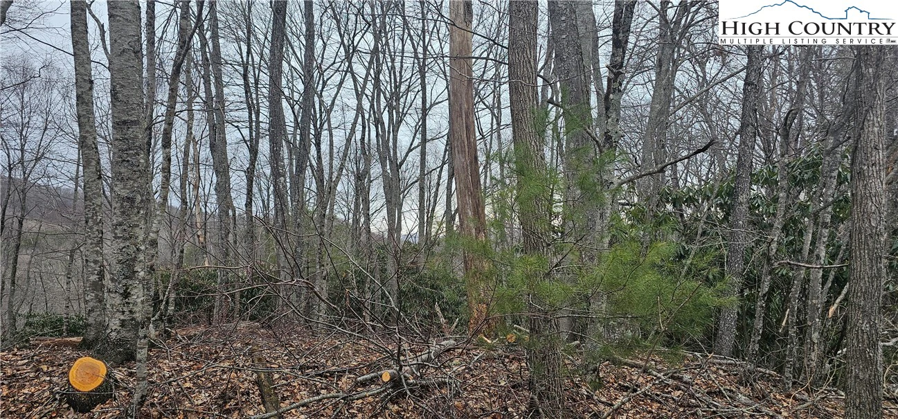 Image number 19 for the current listing