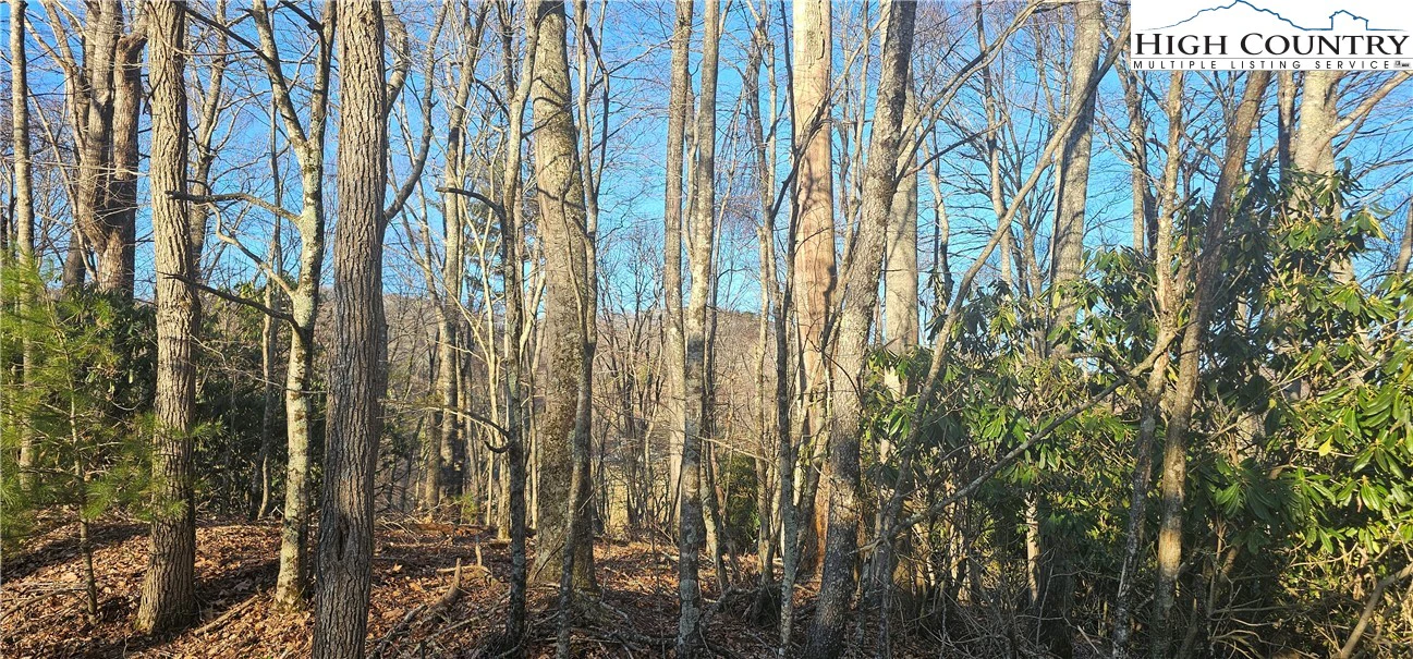 Image number 2 for the current listing