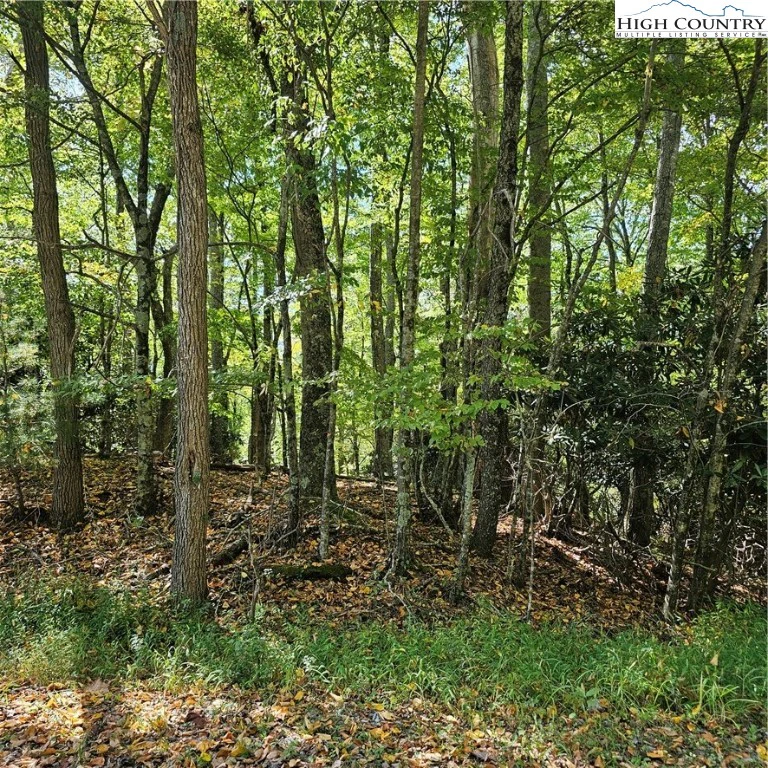 Image number 12 for the current listing