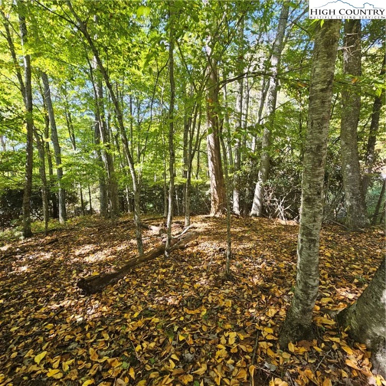 Image number 11 for the current listing
