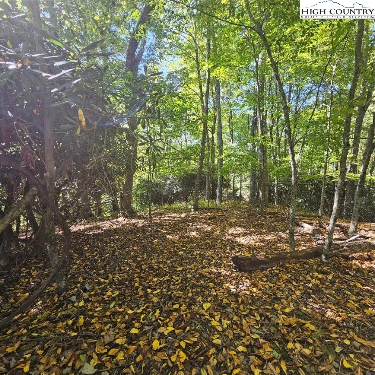 Image number 10 for the current listing