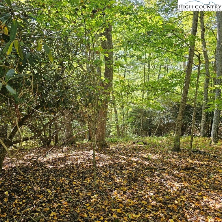 Image number 9 for the current listing