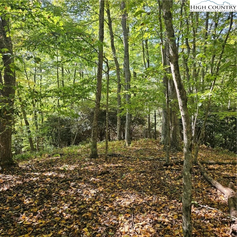 Image number 8 for the current listing