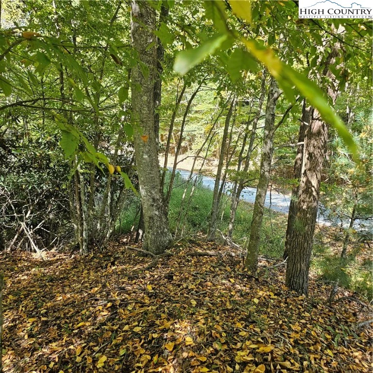 Image number 6 for the current listing