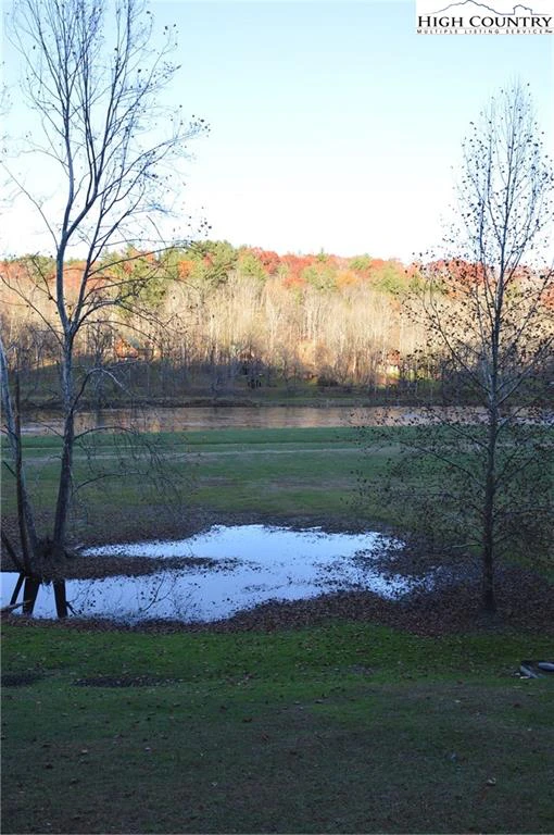 Image number 5 for the current listing
