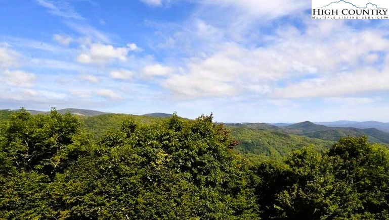 Image number 1 for the current listing