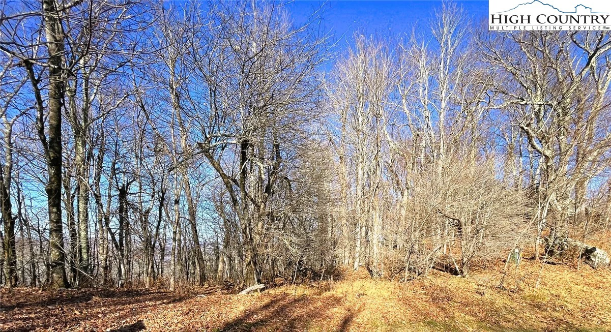 Image number 3 for the current listing