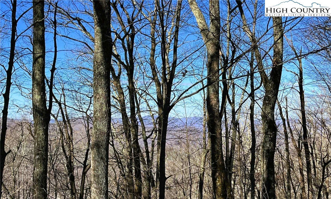 Image number 6 for the current listing