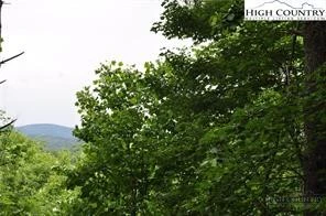Image number 3 for the current listing