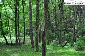 Image number 8 for the current listing