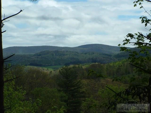 Image number 1 for the current listing