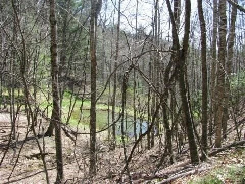 Image number 4 for the current listing