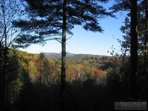 Image number 11 for the current listing