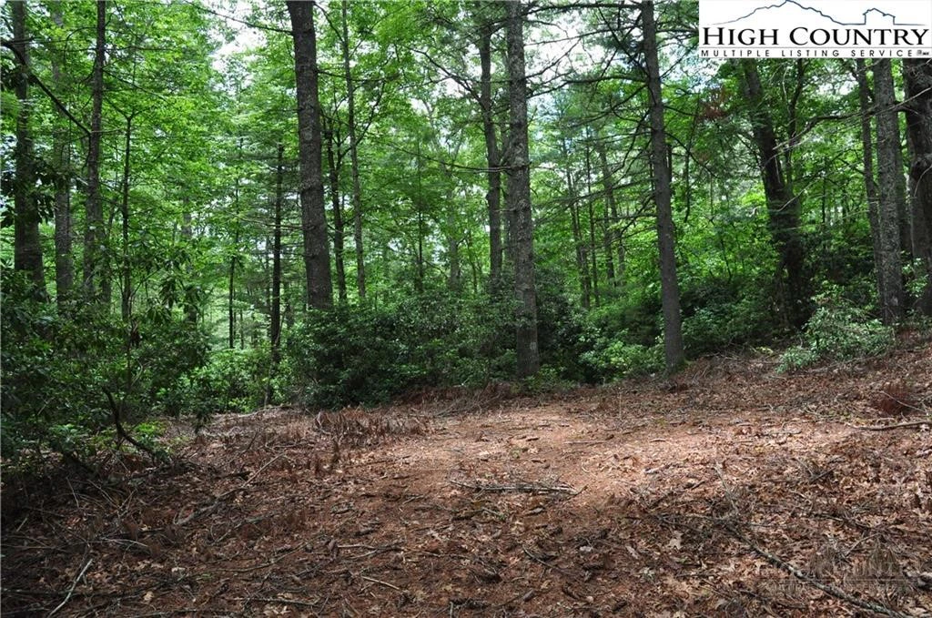 Image number 13 for the current listing