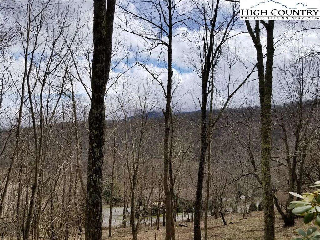 Image number 4 for the current listing