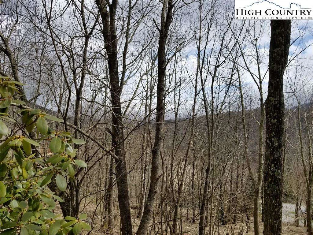Image number 5 for the current listing