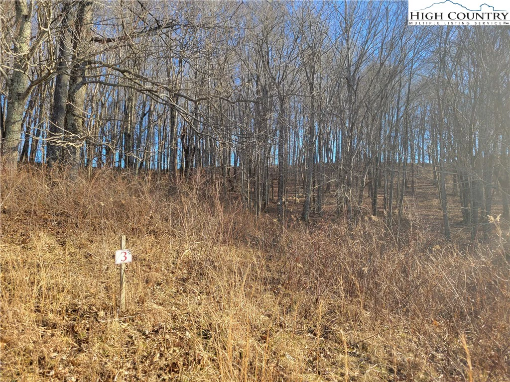 Image number 1 for the current listing