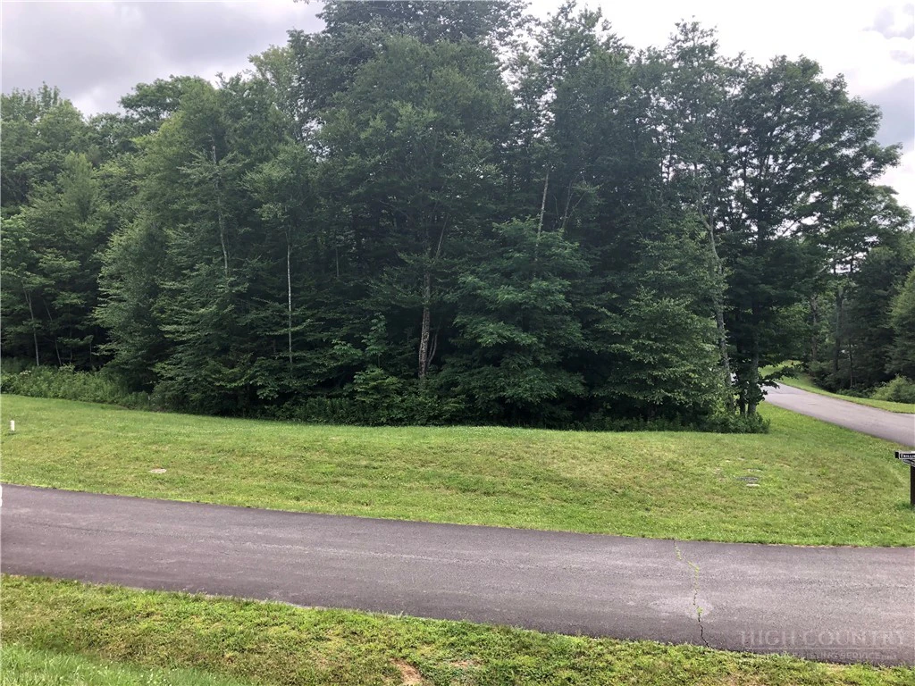 Image number 1 for the current listing