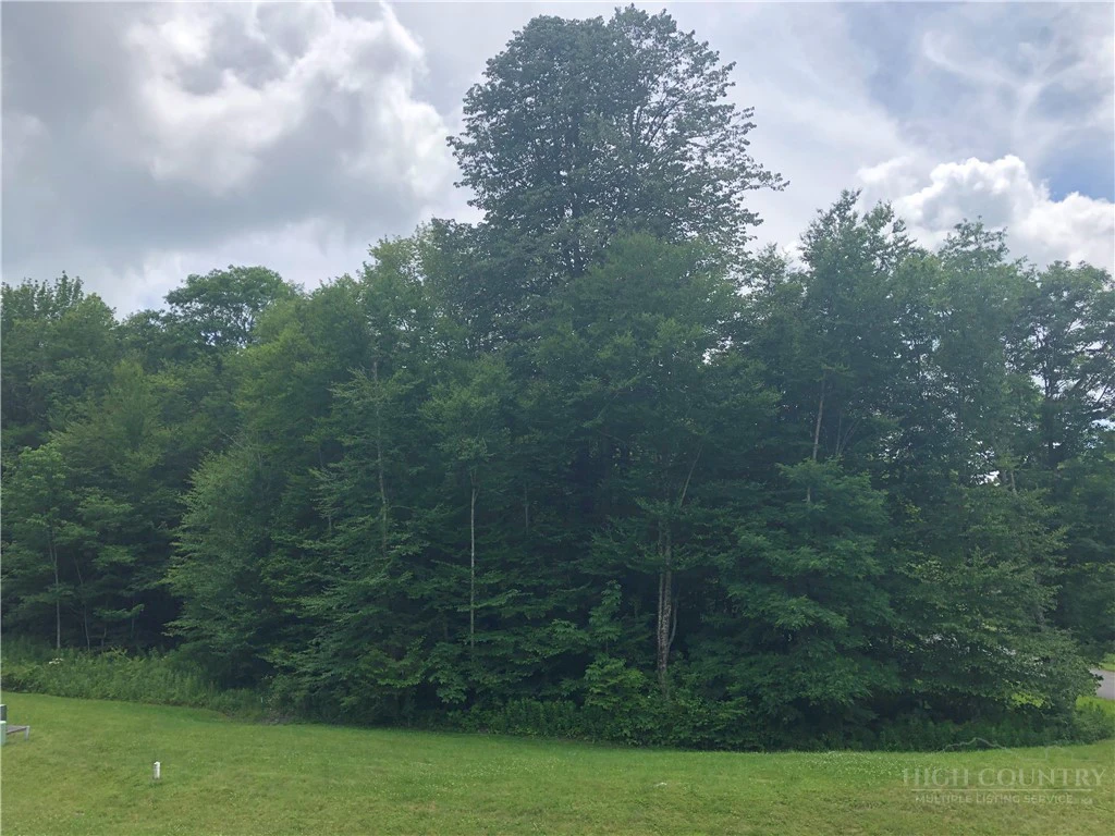 Image number 2 for the current listing