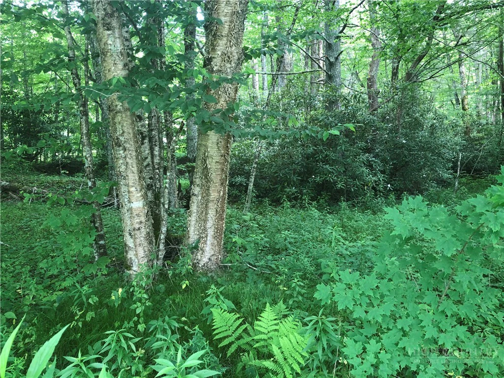 Image number 3 for the current listing