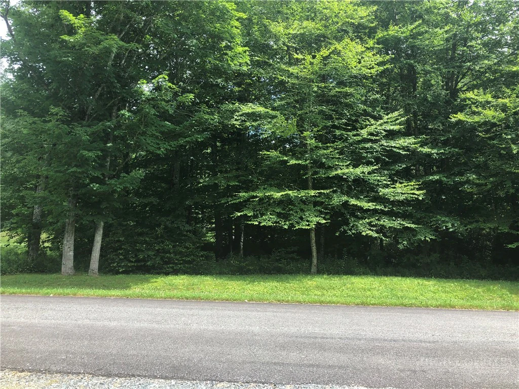 Image number 10 for the current listing
