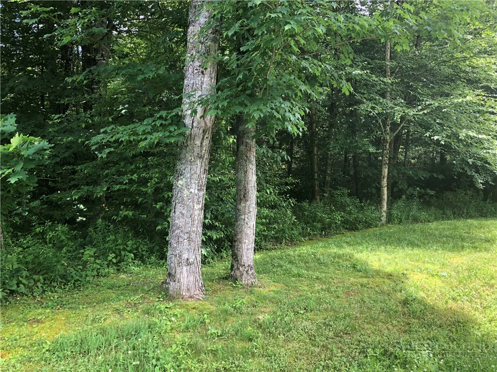 Image number 7 for the current listing
