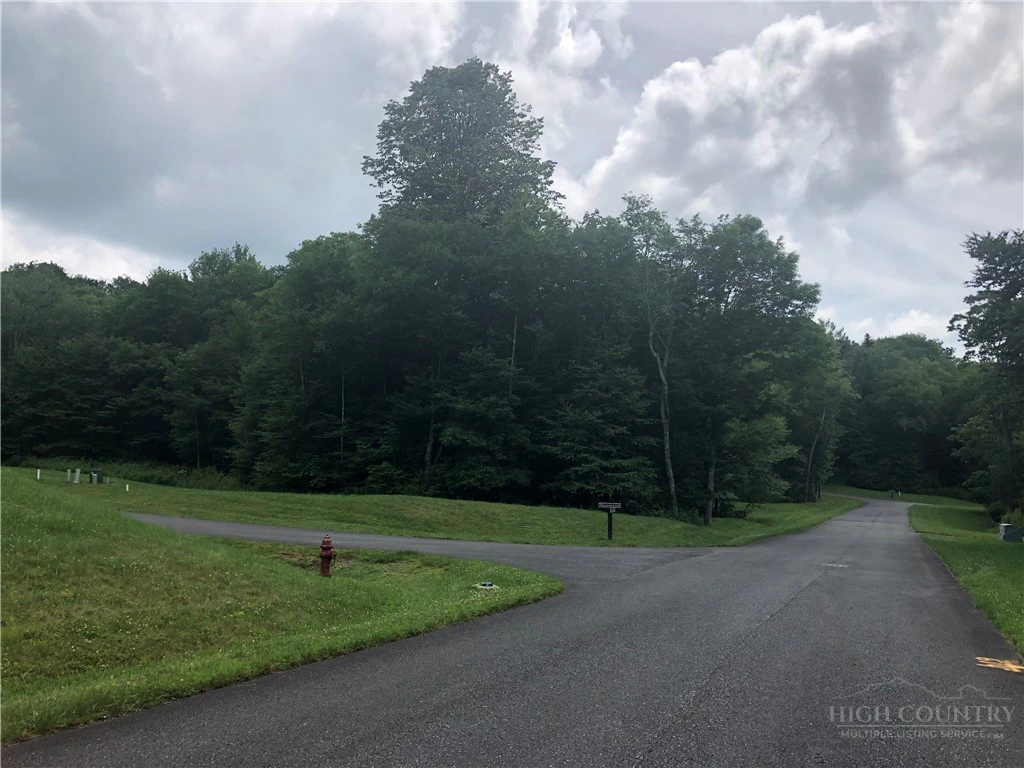 Image number 5 for the current listing