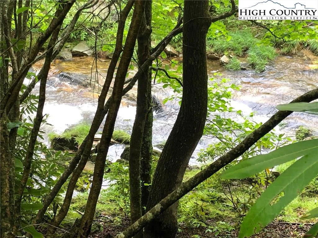 Image number 1 for the current listing