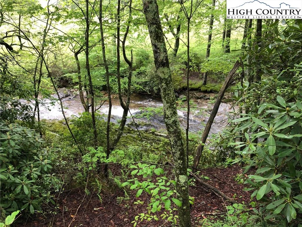 Image number 3 for the current listing