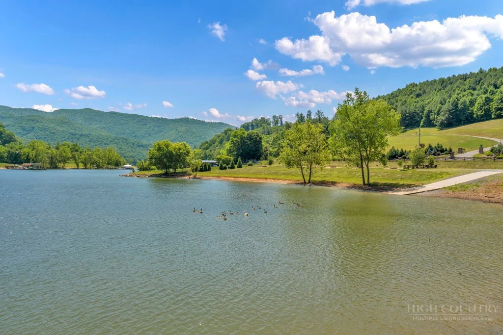 Image number 3 for the current listing