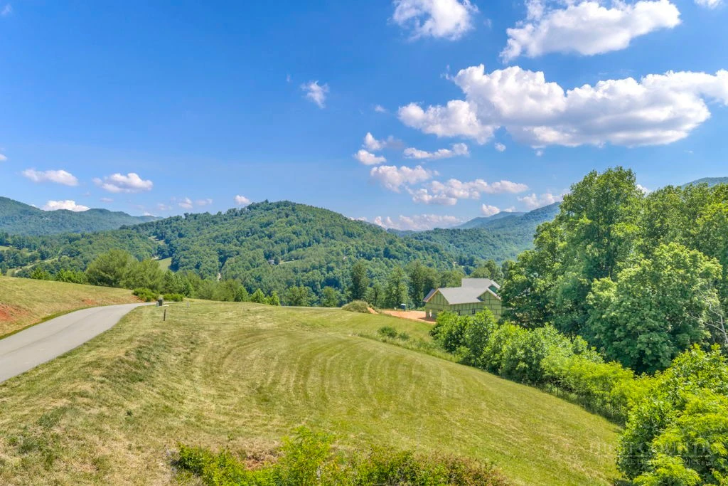 Image number 1 for the current listing