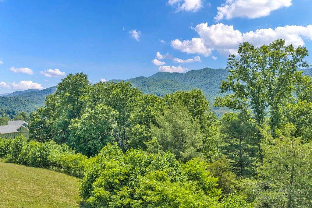 Image number 18 for the current listing