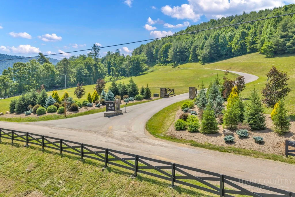 Image number 2 for the current listing