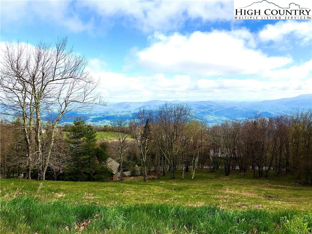 Image number 1 for the current listing