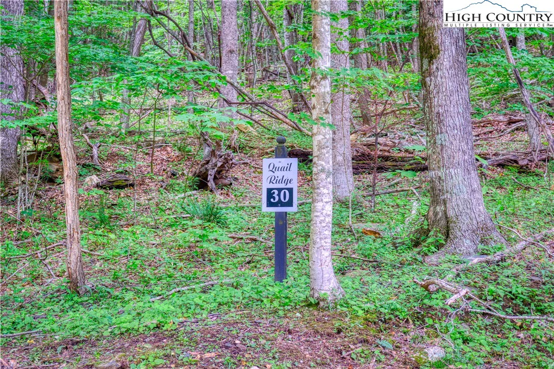 Image number 3 for the current listing
