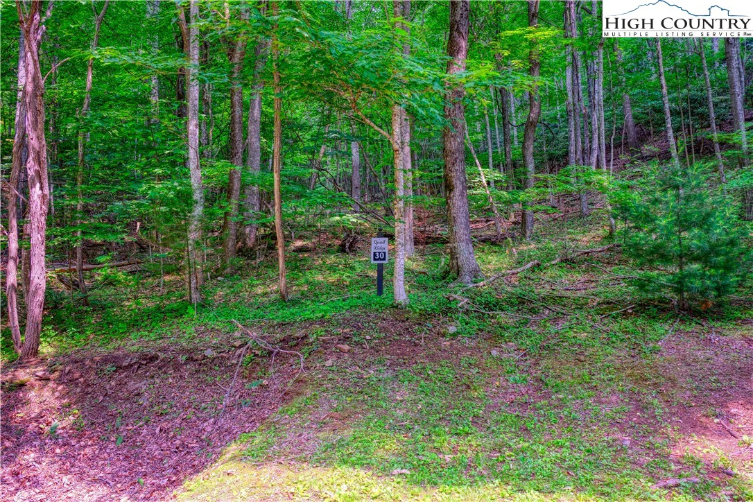 Image number 5 for the current listing