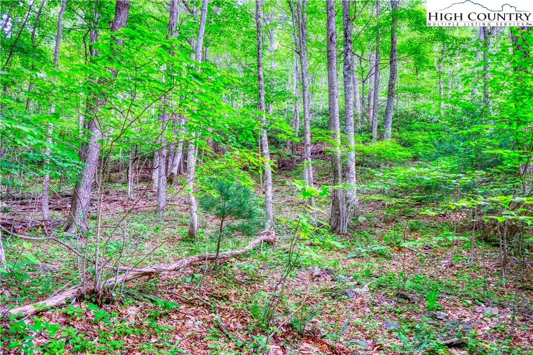 Image number 6 for the current listing