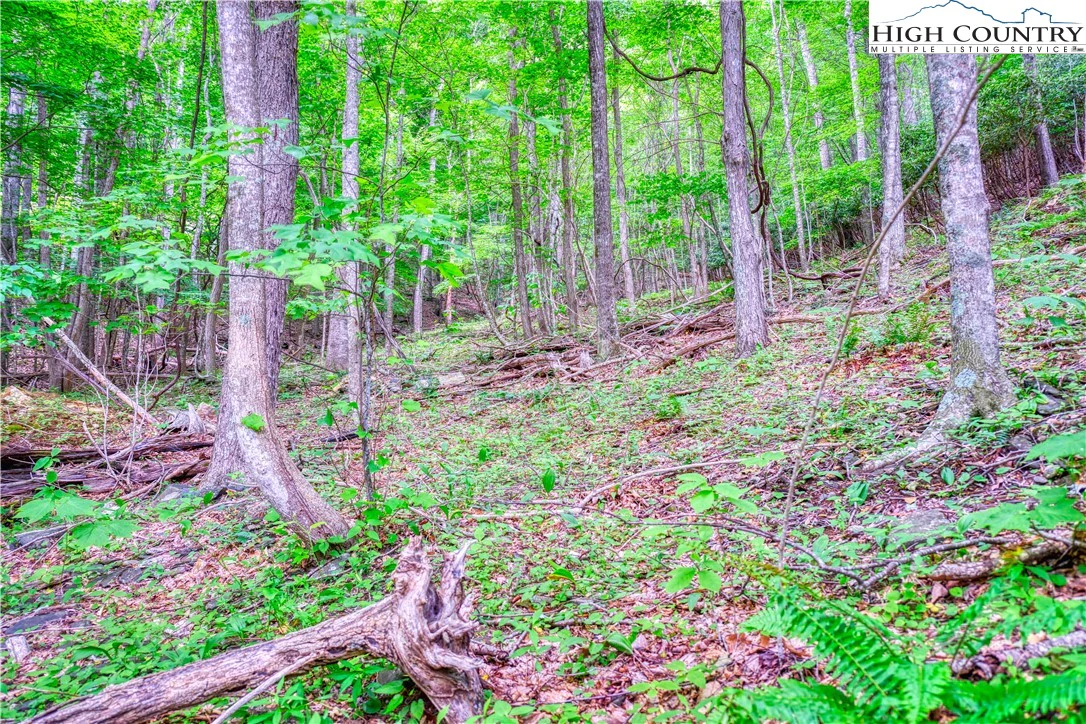 Image number 7 for the current listing