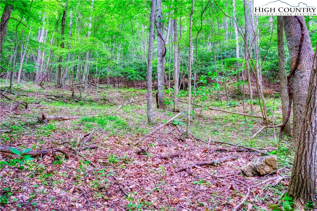 Image number 9 for the current listing