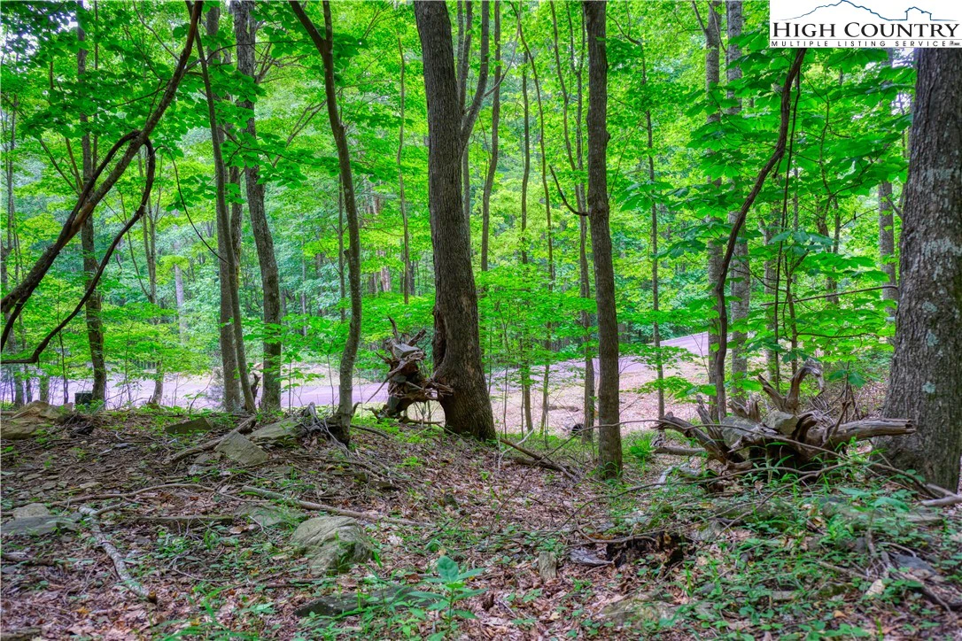 Image number 10 for the current listing