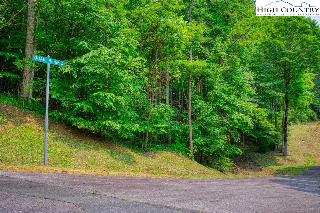 Image number 11 for the current listing
