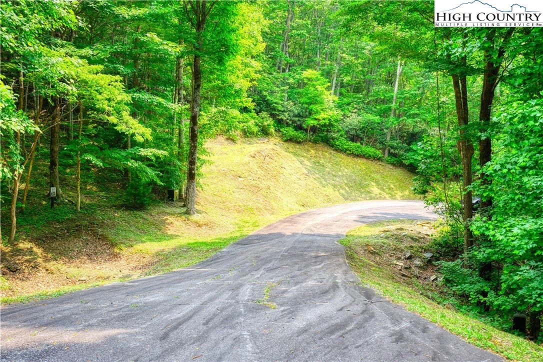 Image number 13 for the current listing