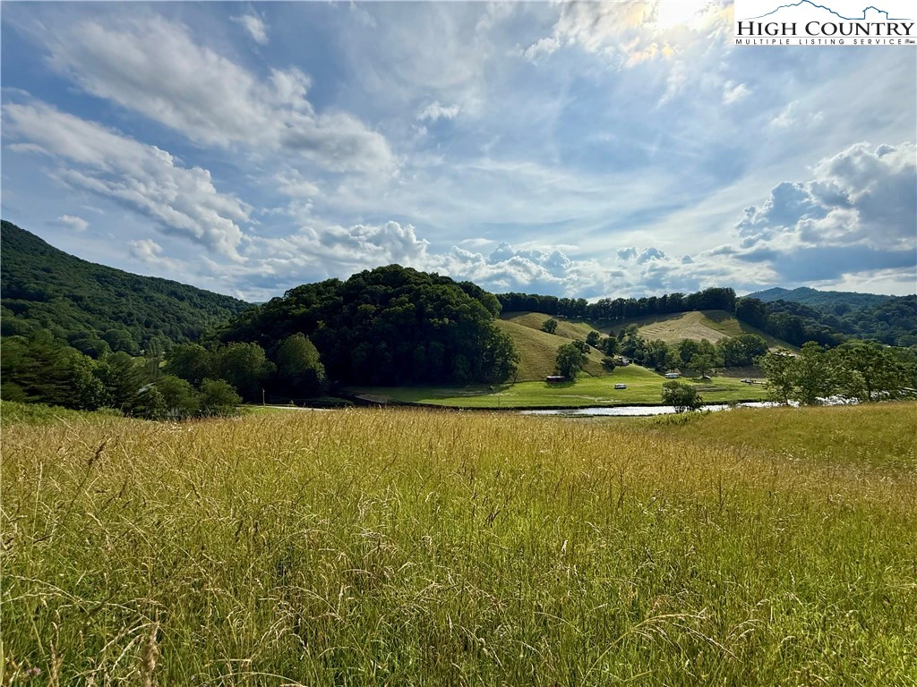 Image number 1 for the current listing