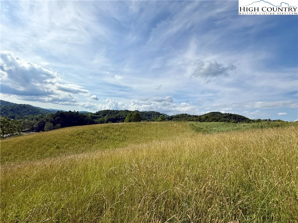 Image number 4 for the current listing