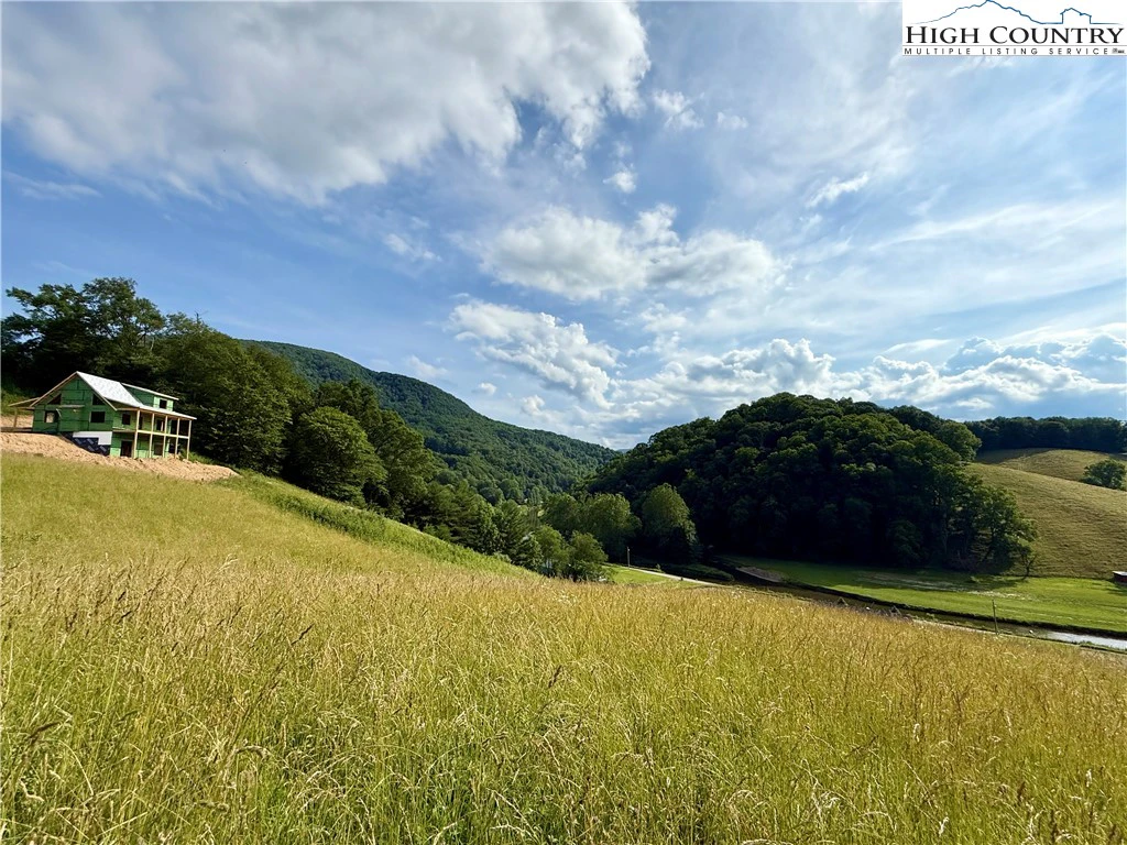 Image number 7 for the current listing