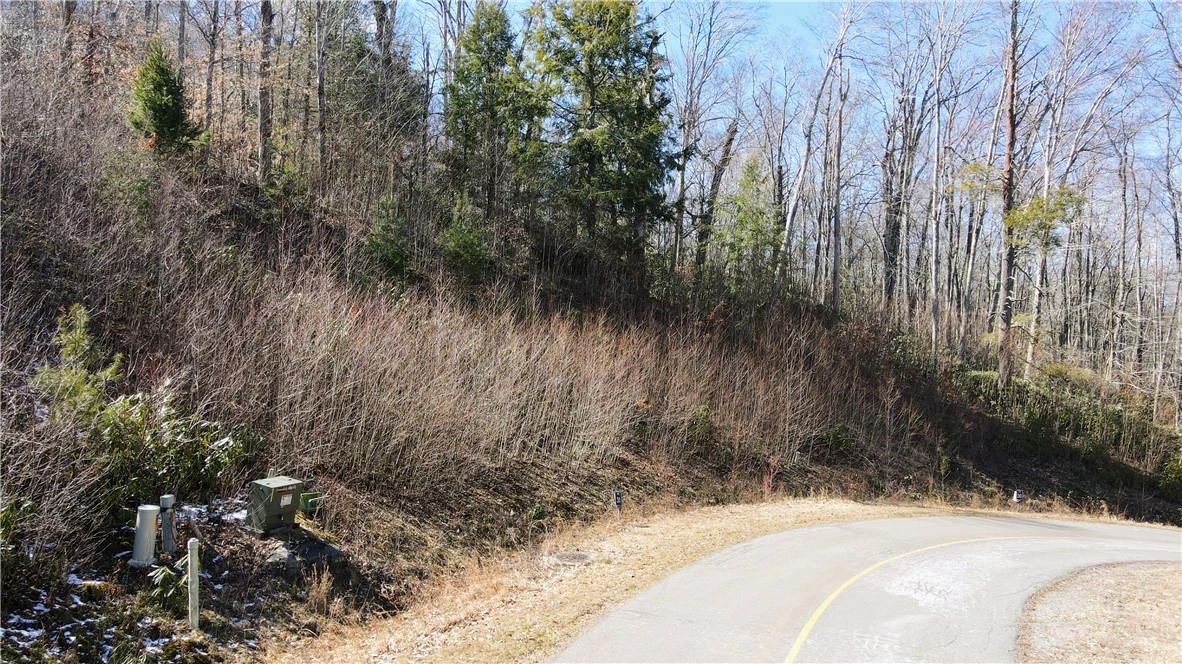 Image number 1 for the current listing
