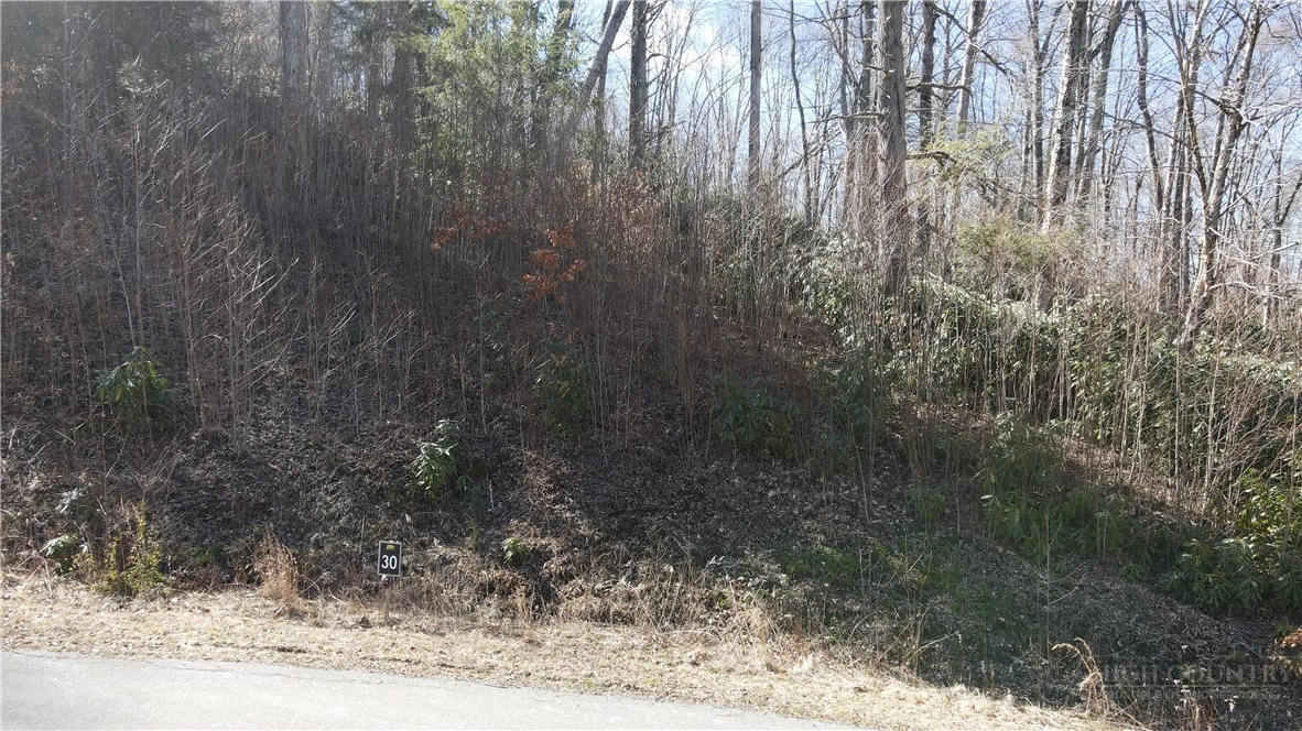 Image number 6 for the current listing